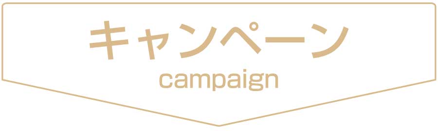 STYLEJAPAN整骨院,茂原市,整骨院,接骨院,整体院