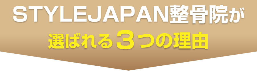 STYLEJAPAN整骨院,茂原市,整骨院,接骨院,整体院